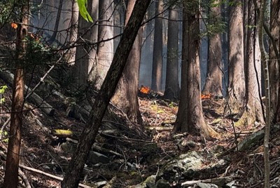 岩手県大槌町の山林火災の火元とされる場所からおよそ2キロ離れた路上から見えた炎。路肩から20メートルほどの距離だった＝同町で2026年4月26日午後、佐藤岳幸撮影