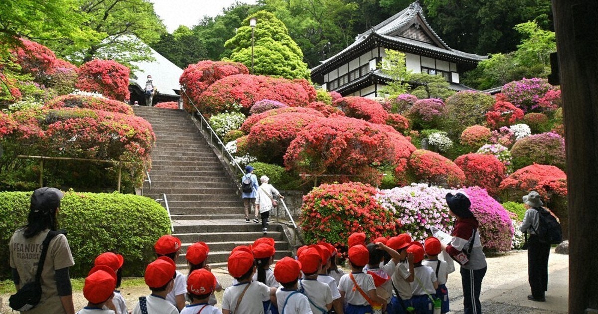 かながわ百景：ツツジ見て ゆっくり散歩 ／神奈川 | 毎日新聞