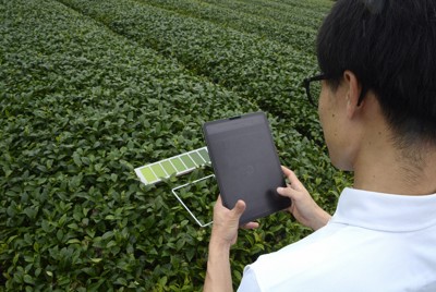 伊藤園が実用化を進める茶の収穫時期の判断ツール。茶畑を撮影し、AIが最適な収穫時期を判断する＝鹿児島県志布志市で2025年7月11日午前10時1分、久野洋撮影