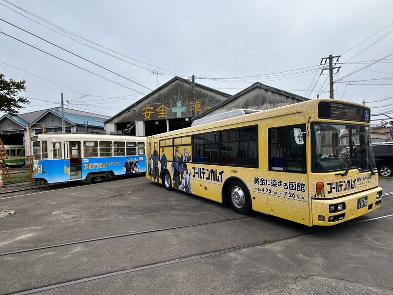 ラッピングされたバス（右）と函館市電（左奥）＝函館市で2026年4月27日、高山純二撮影、©野田サトル/集英社・ゴールデンカムイ製作委員会
