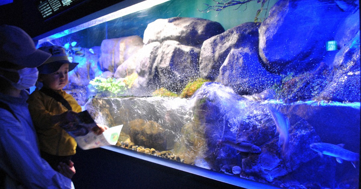 苦肉の策が魅力に?　中国地方の「小さな水族館」が人気の理由