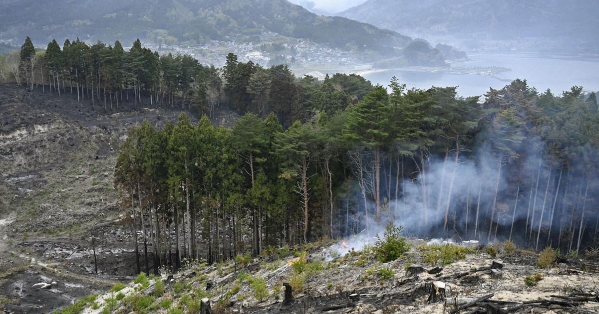 大槌・山林火災、発生後初めてのまとまった雨　1618ha焼損