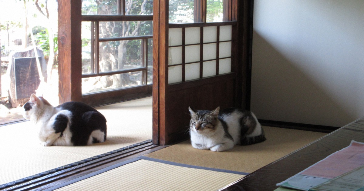 もちろん「猫」も　夏目漱石の新婚時代しのぶ内坪井旧居