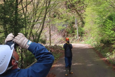 ブナの木（右上）の開花状況を確認する東北森林管理局の職員（手前）＝秋田市内で工藤哲撮影