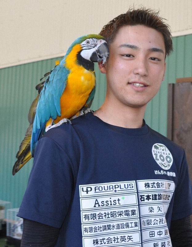 南米原産のルリコンゴウインコを肩に乗せて「ぜひ来園を」と話す園長の高橋さん＝宮崎県延岡市で2026年4月8日午後3時28分、重春次男撮影