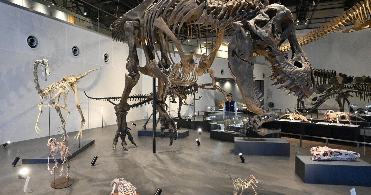 推しはティラノサウルスの全身骨格　恐竜博物館で学ぶ地球の歴史