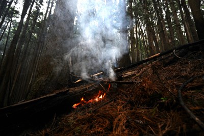 山の斜面でくすぶる炎。岩手県大槌町で起きた山林火災は、平成以降では国内2番目の焼失面積となった＝同町で2026年4月27日、西夏生撮影