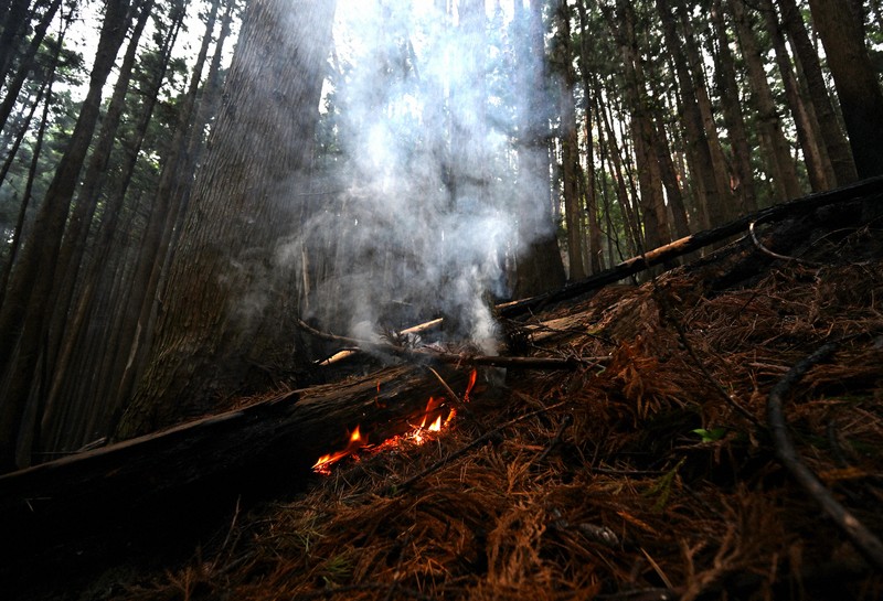 山の斜面でくすぶる炎。岩手県大槌町で起きた山林火災は、平成以降では国内2番目の焼失面積となった＝同町で2026年4月27日、西夏生撮影