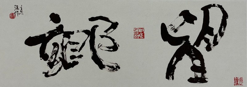 書の世界：遠藤彊篆刻我儘展 おおらかな世界、意のままに | 毎日新聞