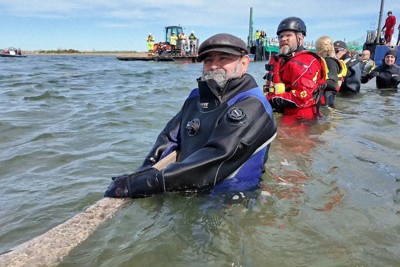 座礁したザトウクジラ「ティミー」を水槽に誘導するため海に入るボランティアら＝独北部ペール島付近で2026年4月28日、ロイター