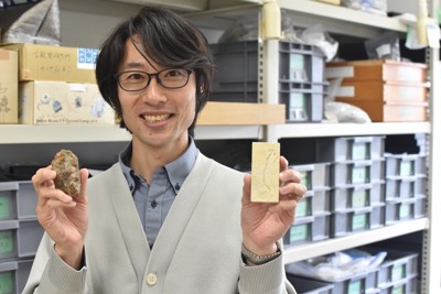 アンモナイトのものと推定されるウンチ化石（右）と、植物を食べる恐竜のものと推定されるウンチ化石（左）を手に持つ千葉大の泉賢太郎准教授＝千葉市稲毛区で2026年3月26日午後1時52分、中村聡也撮影