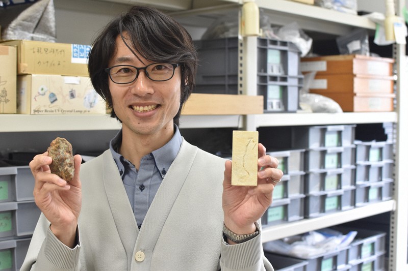 アンモナイトのものと推定されるウンチ化石（右）と、植物を食べる恐竜のものと推定されるウンチ化石（左）を手に持つ千葉大の泉賢太郎准教授＝千葉市稲毛区で2026年3月26日午後1時52分、中村聡也撮影