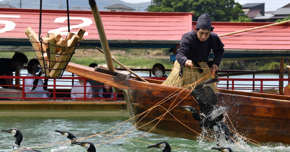 Japan city looking to hire cormorant fishers for 1st time in 34 yrs
