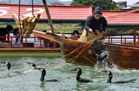 A cormorant fisher performs "Kisogawa Ukai" fishing in the city of Inuyama, Aichi Prefecture, on June 1, 2021. (Mainichi/Koji Hyodo)