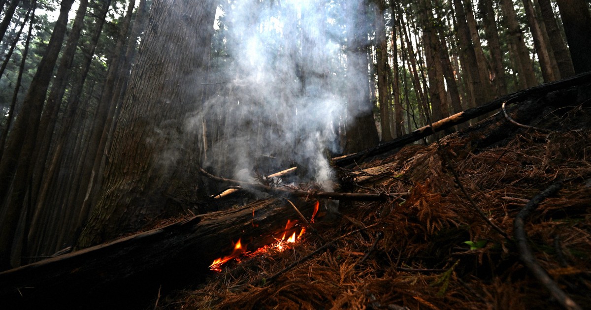 Editorial: Wildfire in Japan's Iwate Pref. must be put out quickly, residents need help