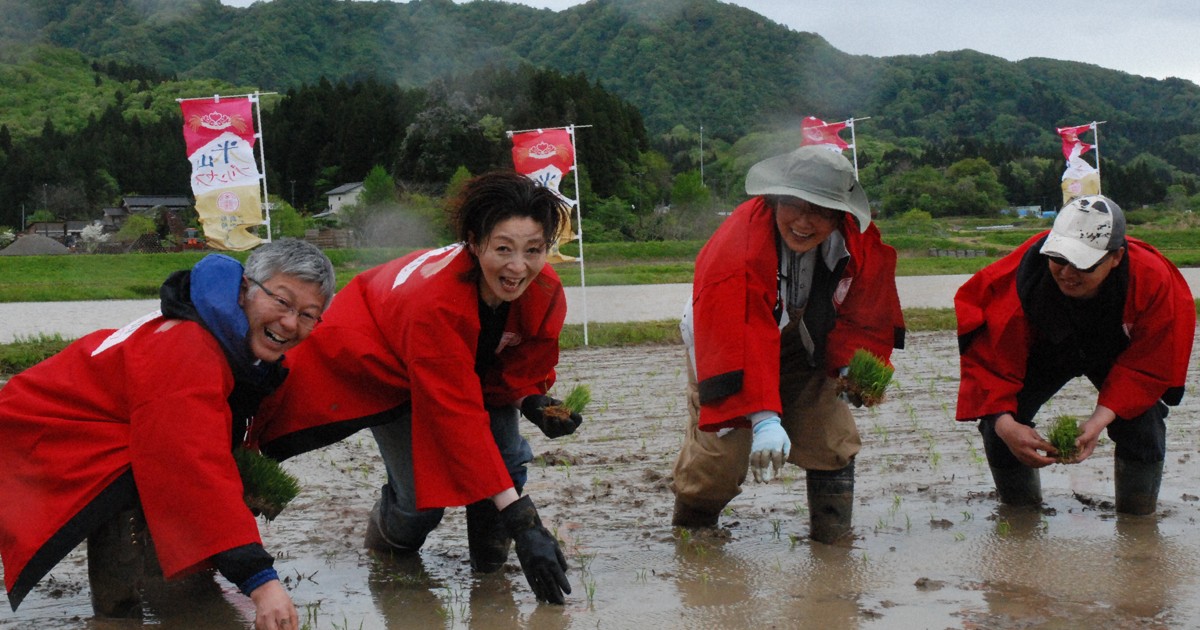 新潟の最高級コメ「米山プリンセス」　元タカラジェンヌら手植え
