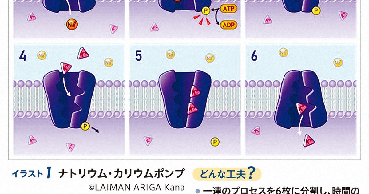 深層サイエンス:難解な研究を簡潔に表現　学術界で高まる「研究概要図」のニーズ