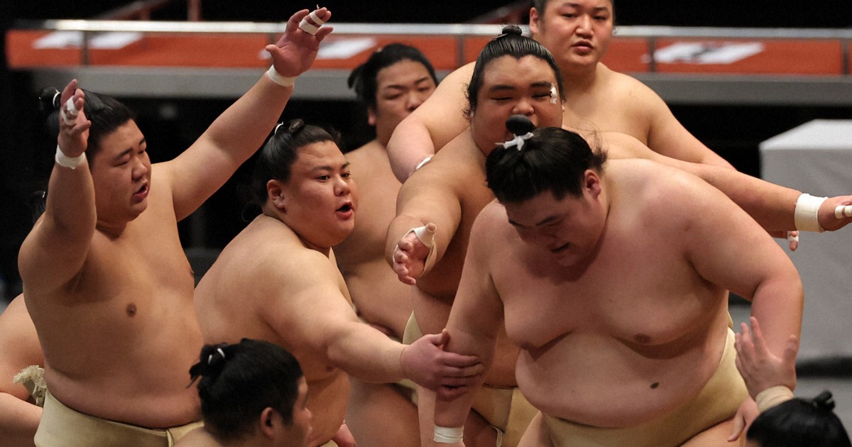 大相撲夏場所・横綱審議委員会による稽古総見 [写真特集1/11] | 毎日新聞