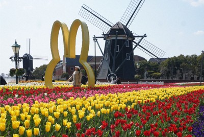 ハウステンボスに咲く色とりどりのチューリップ＝長崎県佐世保市で2026年3月12日午前11時43分、柳瀬成一郎撮影