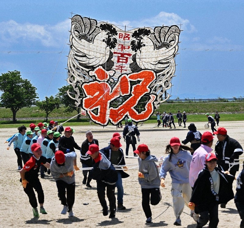 11年ぶりに揚がった「100畳敷大凧」＝滋賀県東近江市で2026年5月2日午前10時29分、北村隆夫撮影