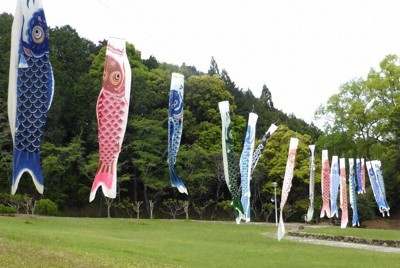 葛城山麓公園に揚げられたこいのぼり＝葛城市で2026年4月22日午前11時58分、皆木成実撮影