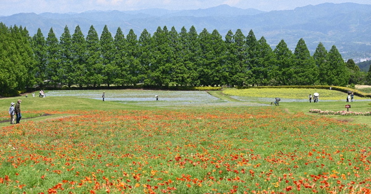高原の春を満喫！色とりどりの花々が見ごろ