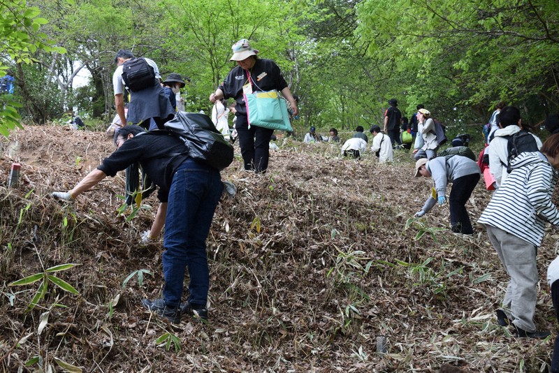 ツチノコを捜せ! 800人の懸命な捜索の結果は… 岐阜・東白川 [写真特集1