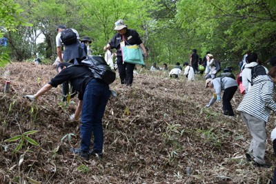 ツチノコの捕獲を目指して山を捜索する参加者＝岐阜県東白川村で2026年5月3日午後1時14分、式守克史撮影