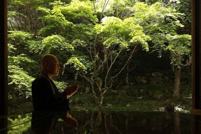 庫裏の机に映り込んだ青もみじ＝兵庫県丹波市山南町の慧日寺で2026年5月2日午後1時19分、幸長由子撮影