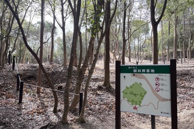 神戸市が利用者を募集している樹林葬墓地＝神戸市提供
