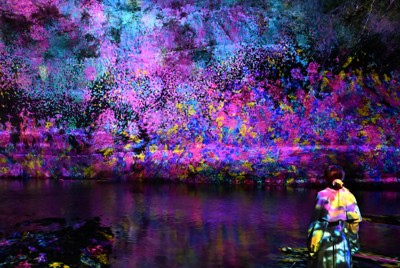 断崖に咲いては散る花々が映し出される＝千葉県大多喜町で2026年4月16日午後9時0分、宮田哲撮影
