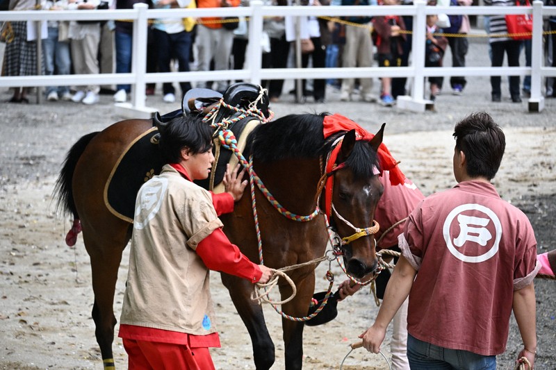 坂を上りきった祭馬をねぎらう関係者たち＝桑名市の多度大社で2026年5月4日午後1時55分、石本万象撮影
