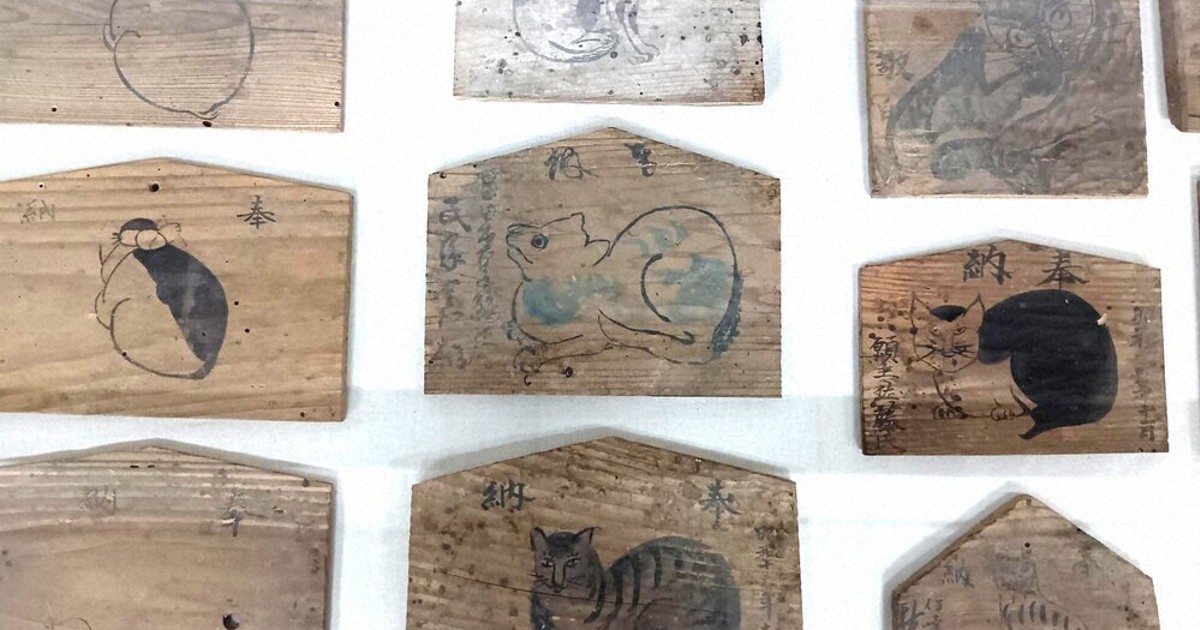 猫神様に願いを込めて　福島「猫神社」の猫絵馬が初公開　宮城