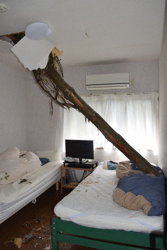 屋根を突き破り、寝室のベッドに落ちてきた倒木＝和歌山県白浜町庄川で2026年5月4日午前10時0分、大澤孝二撮影