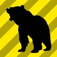 クマ（共同）