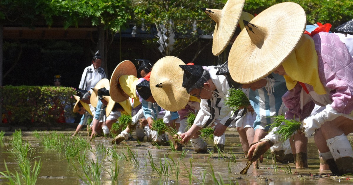三重・猿田彦神社で「御田祭」 五穀豊穣と豊漁満足を願う | 毎日新聞