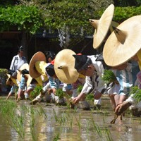 桃山時代の装束に身を包み、一列に並んで早苗を植える植方たち＝伊勢市の猿田彦神社の神田で2026年5月5日午後2時5分、下村恵美撮影