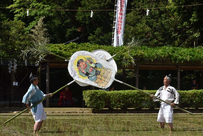 豊作を願う大黒と大漁を祈願するえびすの大団扇による「団扇角力」＝伊勢市の猿田彦神社の神田で2026年5月5日午後2時22分、下村恵美撮影