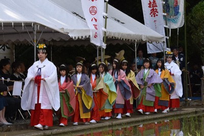 色鮮やかな稚児打ち掛け姿で「八乙女」を務める女子児童たち＝三重県伊勢市の猿田彦神社の神田で2026年5月5日、下村恵美撮影