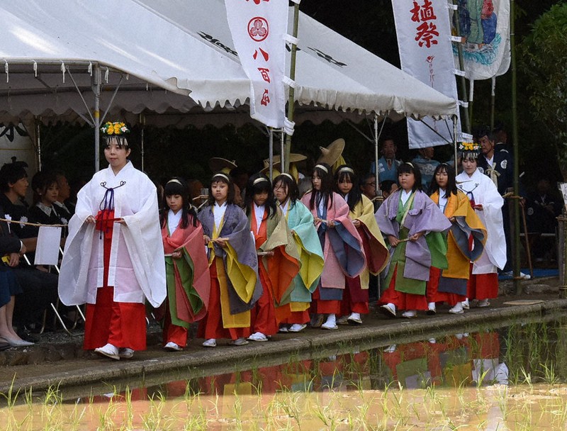 色鮮やかな稚児打ち掛け姿で「八乙女」を務める女子児童たち＝三重県伊勢市の猿田彦神社の神田で2026年5月5日、下村恵美撮影