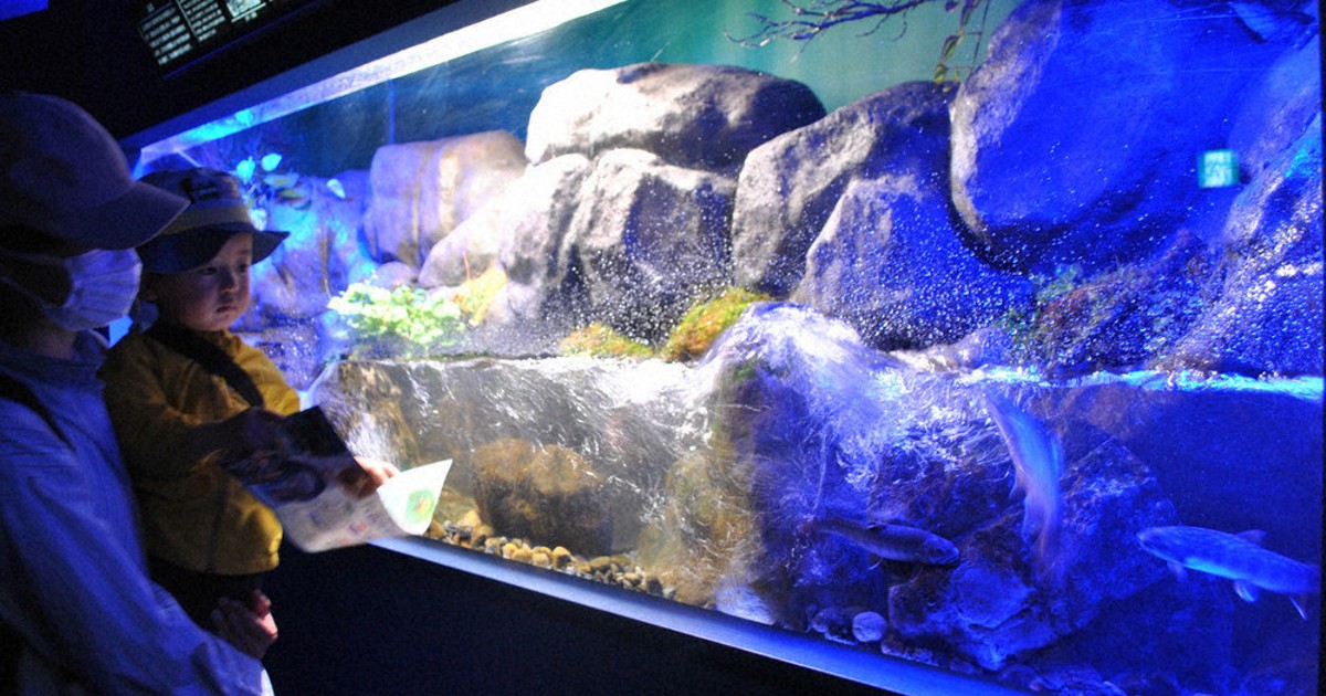 地域に根ざす水族館の魅力を楽しむ
