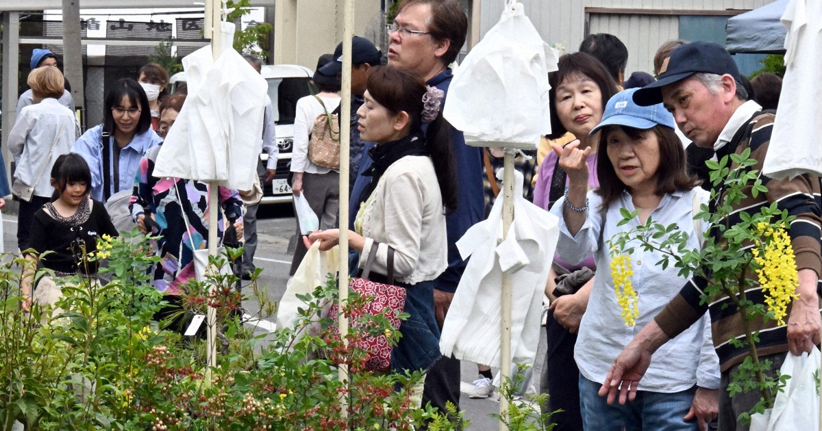 日本三大植木市の「薬師祭植木市」始まる　10日まで　山形