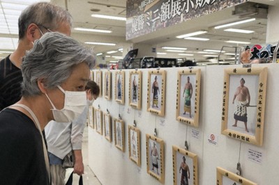 「大相撲EXPO」のイベント会場で展示されたミニチュア額に見入る来場者たち＝東京都新宿区の京王百貨店新宿店で2026年5月8日、中村有花撮影