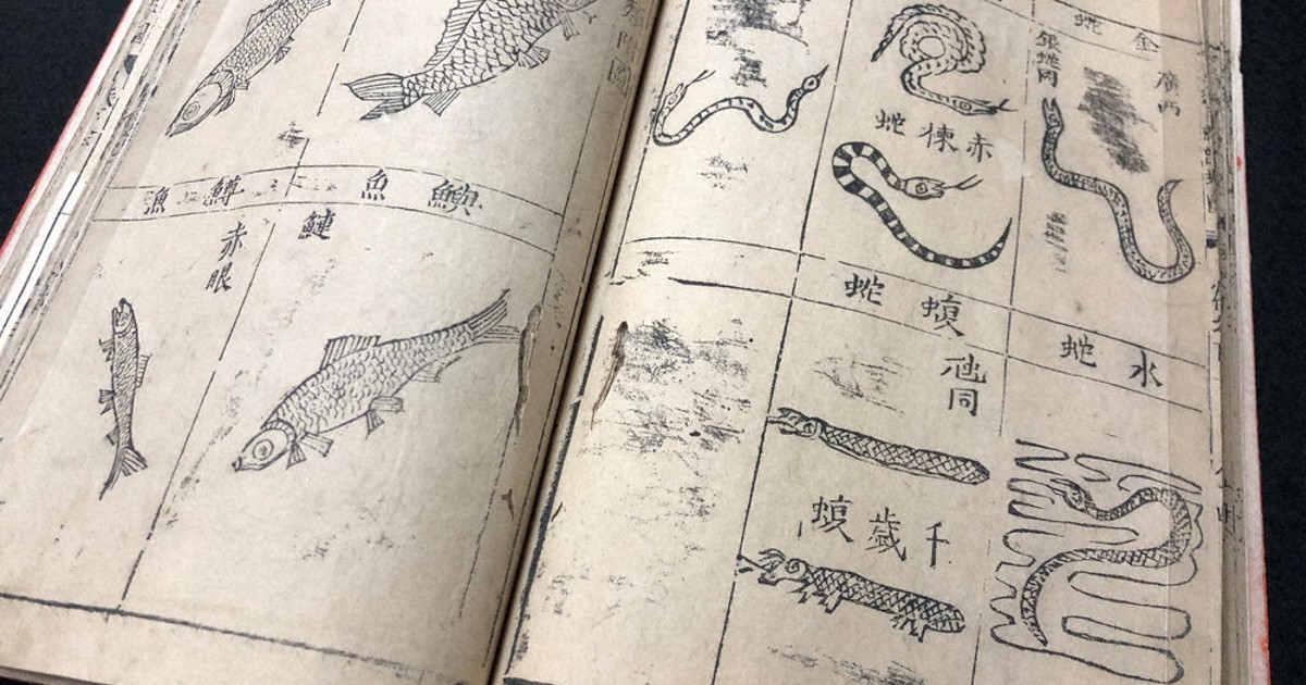 世界で8組 幻の事典 テレビ番組での鑑定額 ￥100，000，000 「本草綱目
