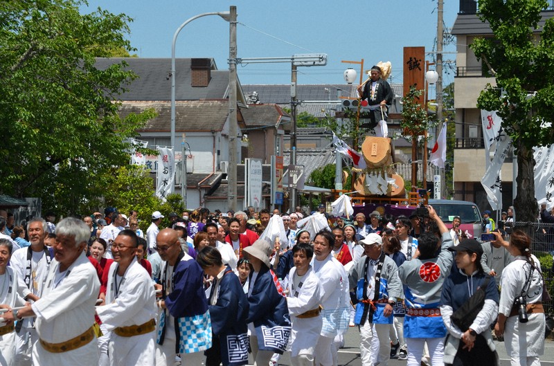伊勢神宮式年遷宮前奏曲：「お木曳」祭典市民運送木材