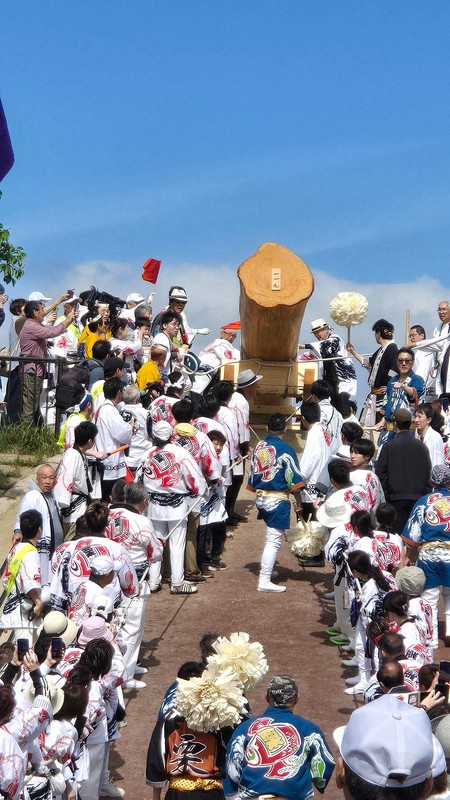 伊勢神宮式年遷宮前奏曲：「お木曳」祭典市民運送木材