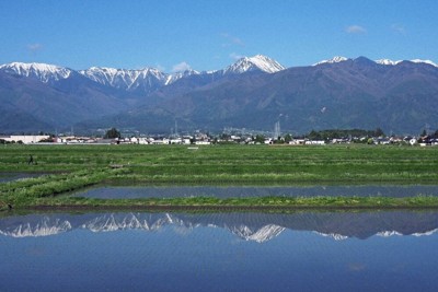 残雪の北アルプスや青空が映り込む「水鏡」となった水田＝長野県安曇野市穂高で、武田博仁撮影
