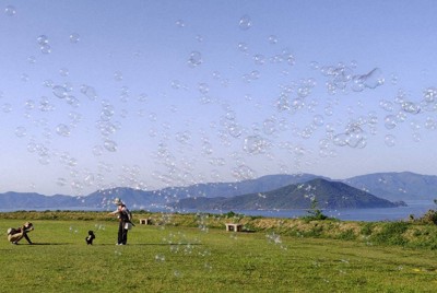 しゃぼん玉に包まれた大串半島の芝生広場＝香川県さぬき市で、2026年4月25日午後4時半、佐々木恵美子撮影