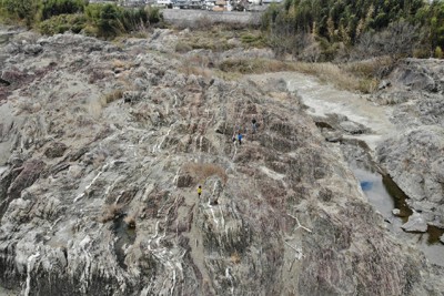 後期三畳紀の深海堆積物を残した層状の堆積岩＝岐阜県坂祝町で（尾上哲治教授提供）
