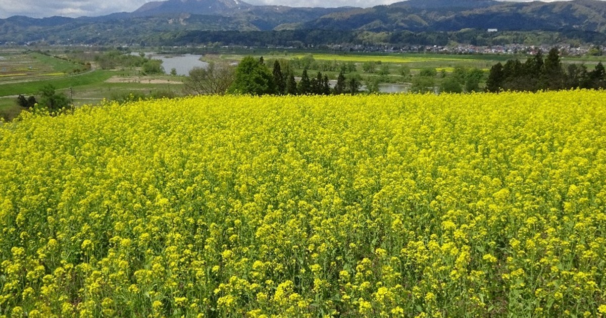 Japan Uncovered #20: Nagano's Iiyama shines as 'Snow Country's Little Kyoto'